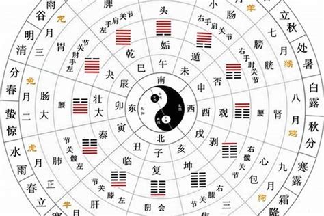 天干地支五行|天干地支五行对照表，了解传统文化的钥匙